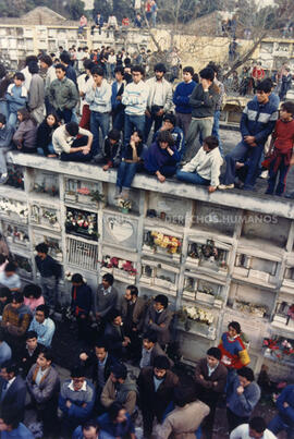 Manifestaciones 007