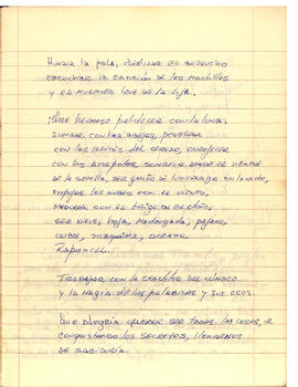 Cuaderno Manuscrito (36)