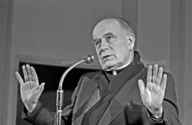 Raúl Silva Henríquez