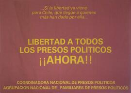 Libertad a los Presos Políticos ¡¡AHORA!!