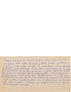48 mensajes manuscritos. (20)