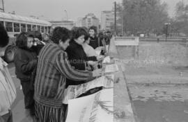 Manifestación