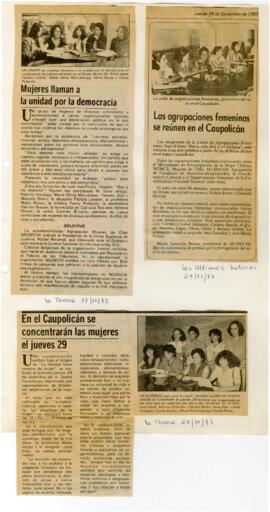 Mujeres llaman a unidad por la Democracia