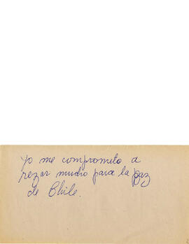 48 mensajes manuscritos. (31)