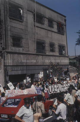 Manifestación
