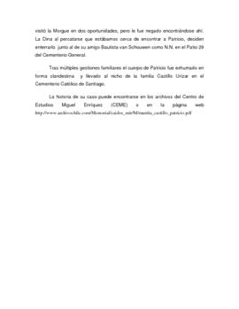 Biografía de Patricio Munita Castillo (4)