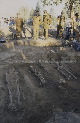 Hallazgo de osamentas
